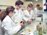 Studienabbrecher Chemie