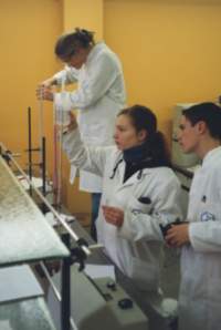 BOGY-Praktikum am Institut Dr. Flad
