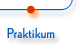 Praktikum