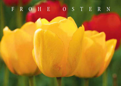 Frohe Ostern!