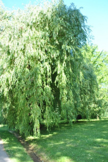 Exkursion in den Botanischen Garten der Universität Hohenheim