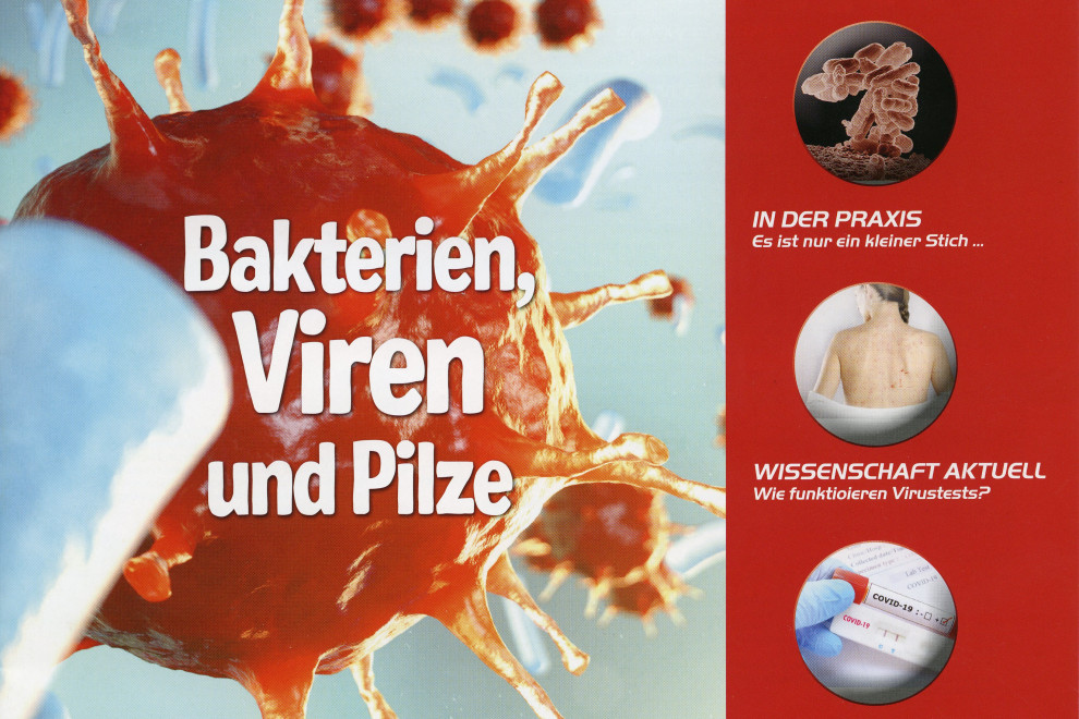 molecool - neue Ausgabe: Bakterien, Viren und Pilze