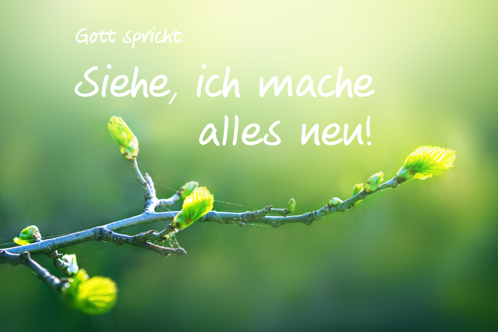 Alles Gute für 2026