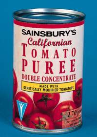 Nachweis von gentechnisch veränderten Lebensmitteln