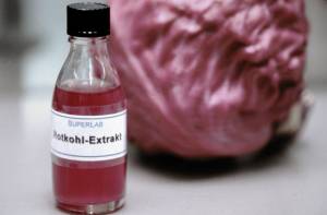 Rotkohl-Extrakt als pH-Indikator