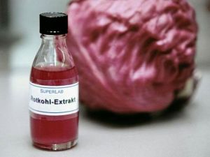 Rotkohl-Extrakt als pH-Indikator