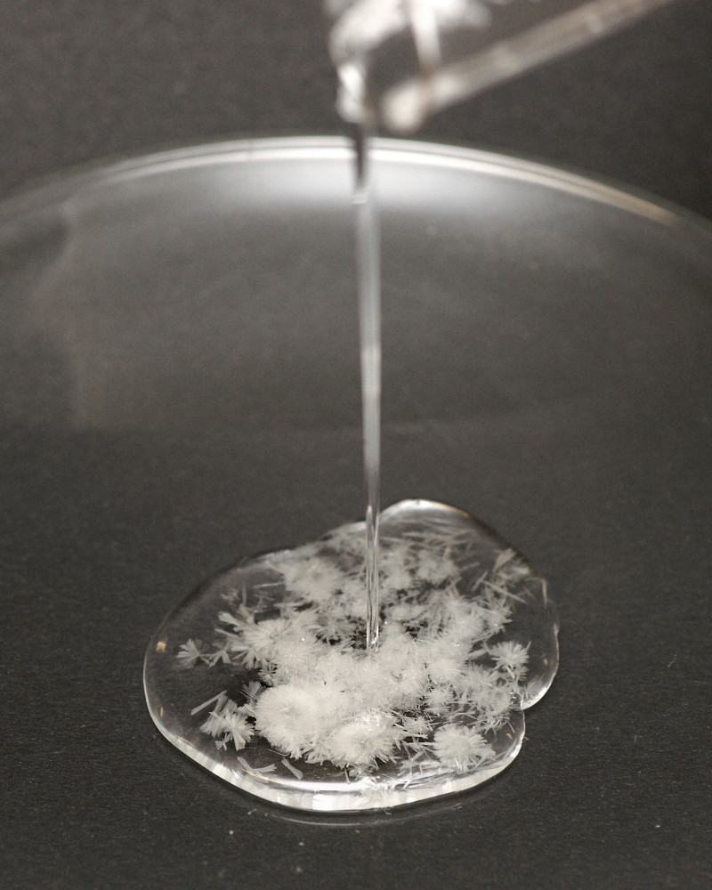 Kristallisation von Natriumacetat-Trihydrat - Experimente aus dem Institut Dr. Flad